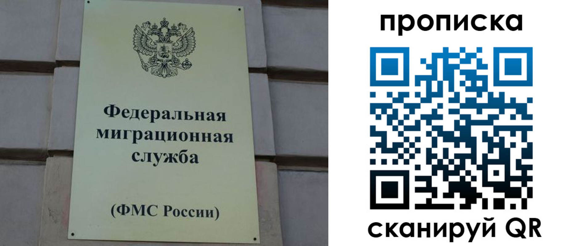 прописка поиск в Медногорске